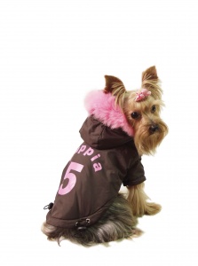no.5 ski jumper brown na pejskovi