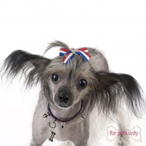 FPO HAIR CLIP WB026_01