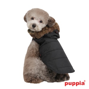 cody hood vest on dog pamd-vt026-black4-600