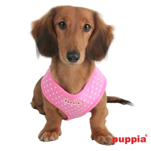 dotty harness paha-ac301-pink4-600