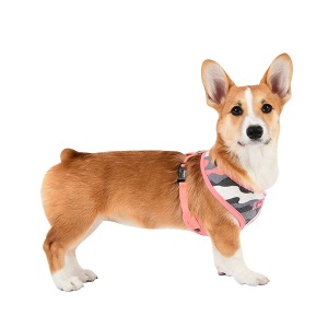 Ensign harness A pink on dog
