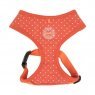 dotty harness II para-ha1529-orange