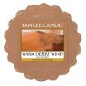 warm desert wind