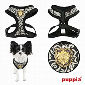 GALA HARNESS A kšíry - černá