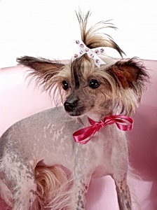 Hair Precious Ribbon mašlička - bílá/růžová