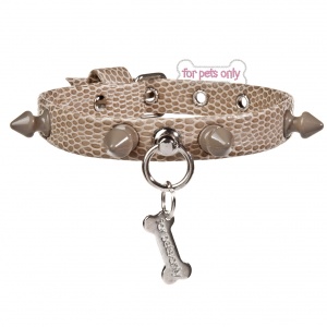Punk Collar in the City GTL531