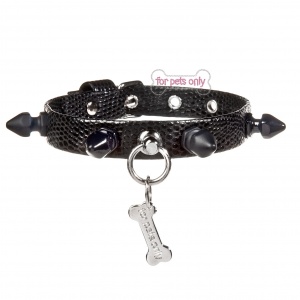 Punk Collar in the City GNL531