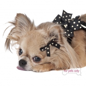 FPO HAIR CLIP WN024_01