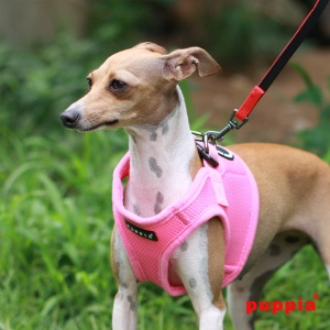 soft vest paha-ah305-pink3