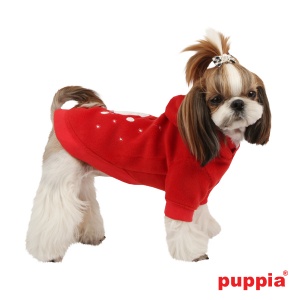 rudolph on dog pamd-ts017-red4-600