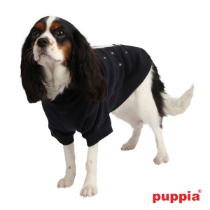 rudolph on dog pamd-ts017-navy4-600