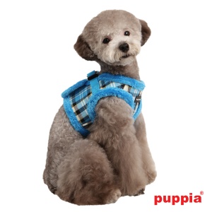 uptown II harness B on dog pamd-ah041-blue4-600