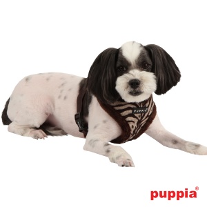 modern zebra harness A on dog pamd-ac043-brown4-600