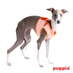 cosmic harness B paoa-ah1232-orange-p