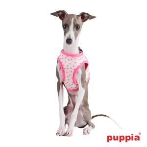 cosmic harness B paoa-ah1232-pink-p