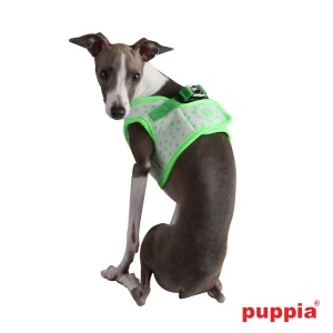 cosmic harness B paoa-ah1232-green-p