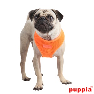 Neon soft harness A papa-ac1325-orange-4