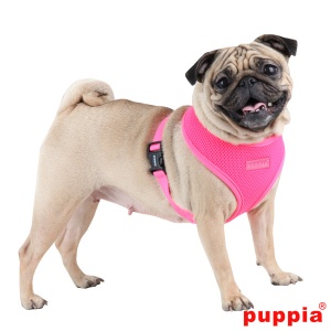 Neon soft harness A papa-ac1325-pink-4