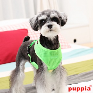 Neon soft harness A papa-ac1325-green-4