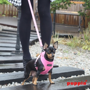 soft harness pdcf-ac30-pink3