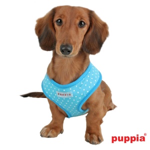 dotty harness paha-ac301-skyblue4-600