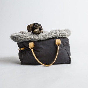 Cloud 7 Dog Carrier Canvas_Dachshound 1