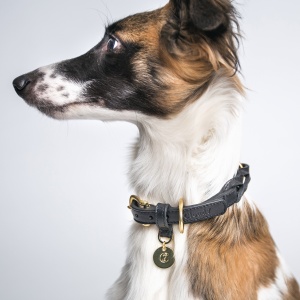 Cloud 7_Dog Collar Hyde Park Black 1