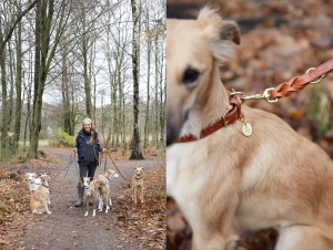 Svantje & Anthea (Leash)