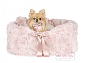 dog-989