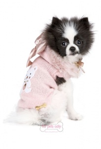 dog-845