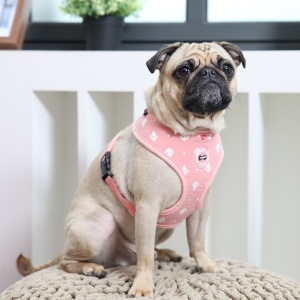 Ernest harness para-ha1531-pink4