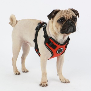 trek harness F plra-hf9323-orange-dog