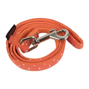 dotty lead II para-al1529-orange