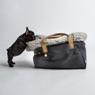 Cloud 7 Dog Carrier Canvas_Pug 1