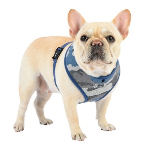 Ensign harness A blue on dog