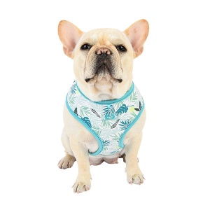 Rowan harness A aqua on dog