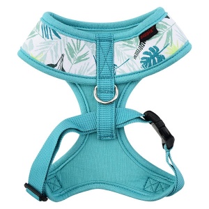 Rowan harness A aqua