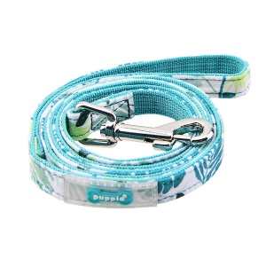 Rowan leash aqua