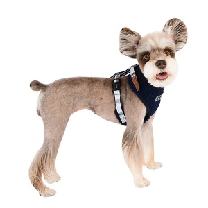 Neil superior harness A blue on dog