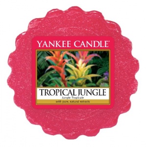 tropical jungle