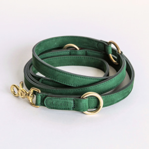 Tiergarten leash green