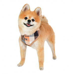 quinn harness A beige on dog