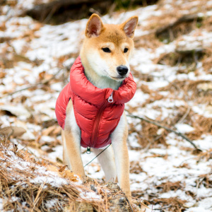 Ultralight vest A red3