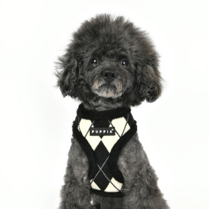 Jaden A black3