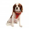 yuppie A on dog red_1800