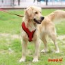 soft harness pdcf-ac30-red3