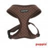 dotty harness paha-ac301-brown1-600
