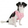 buttercup harness A pink on dog