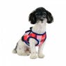 quinn harness B navy on dog