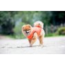 Ultralight Jumpesuit A orange5